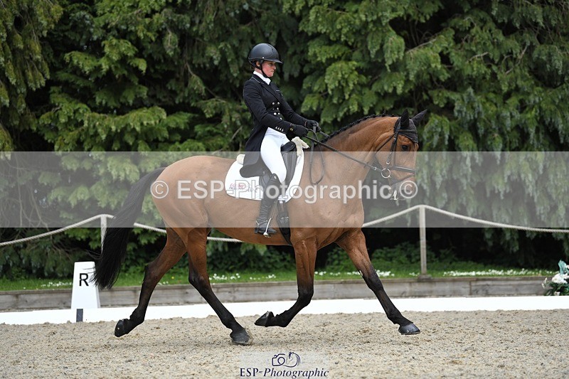 230525-153050-03266 - 327-ROMANTIC-Rosie_Fry-WEDTrotUp+DR