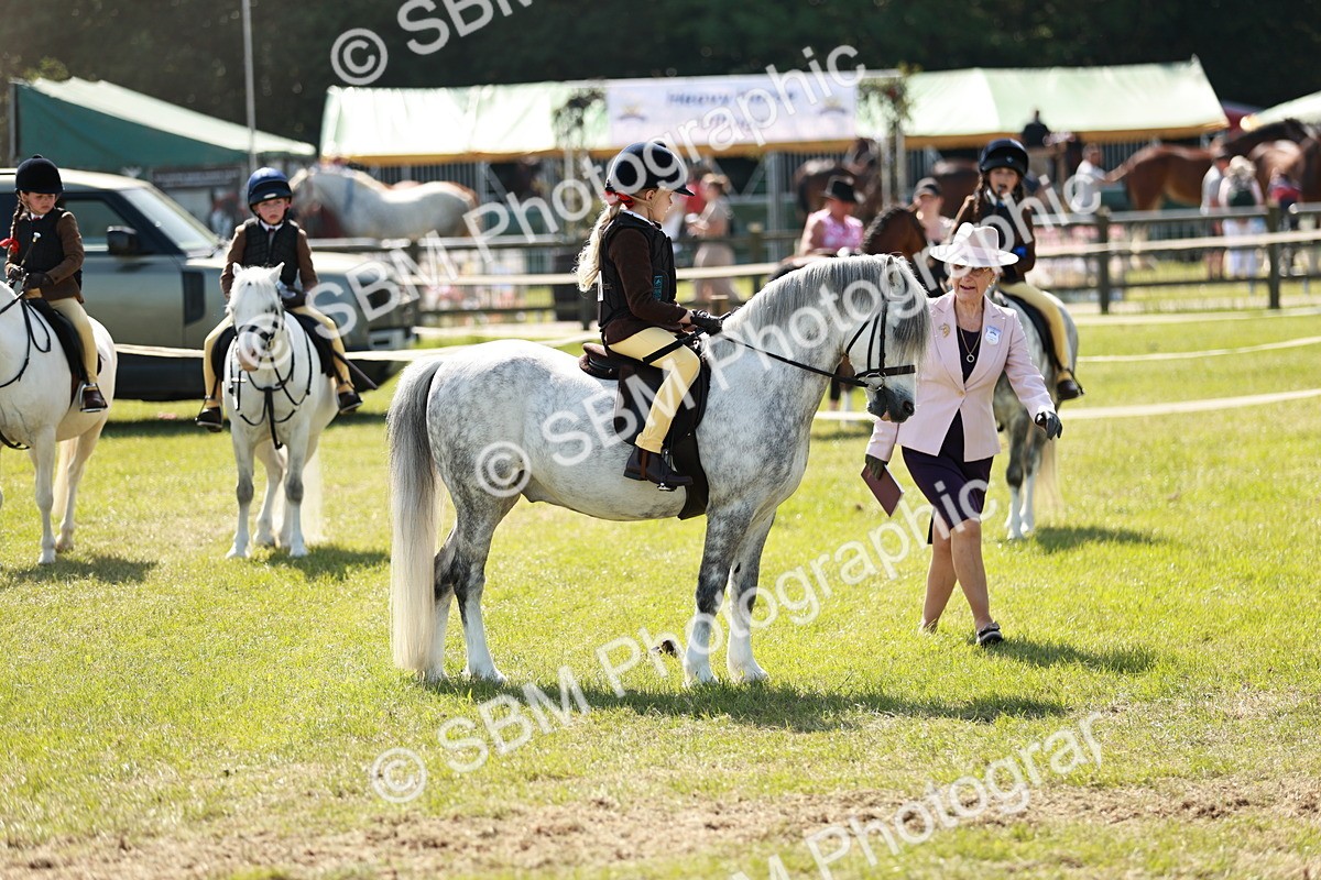 SBM_12771 - Class 106-107 - BSPS LIHS Working Sports Pony