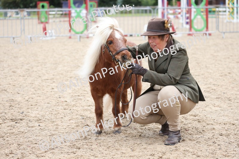 20250524-0734 - Class 7 - Veteran