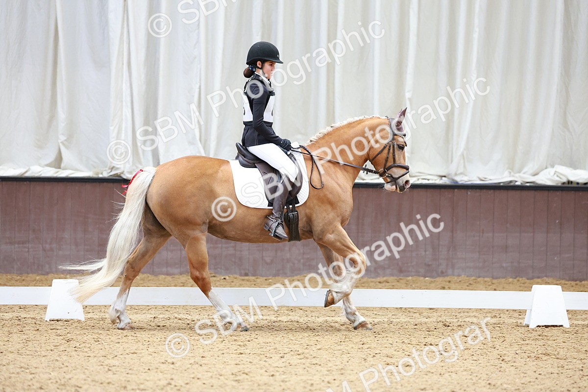 SBM_000538 - Class 4 - CT Prelim 3-70cm