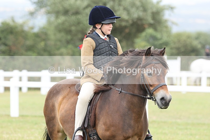 JPP_1764 - Class 18: Tiny Tots Working Hunter Pony