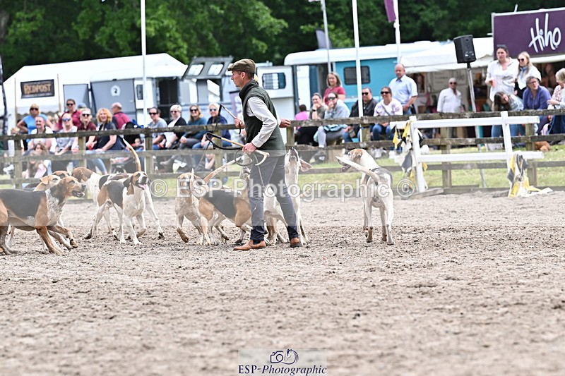 250524A-152308-12704 - East Devon Hounds
