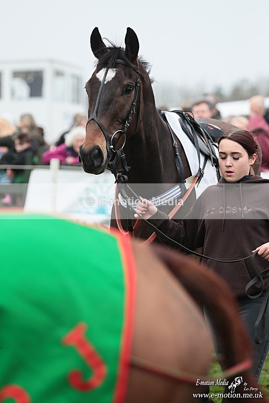 PtP 080326 249 - Pytchley with Woodland Point-to-Point Guilsborough 08/03/26
