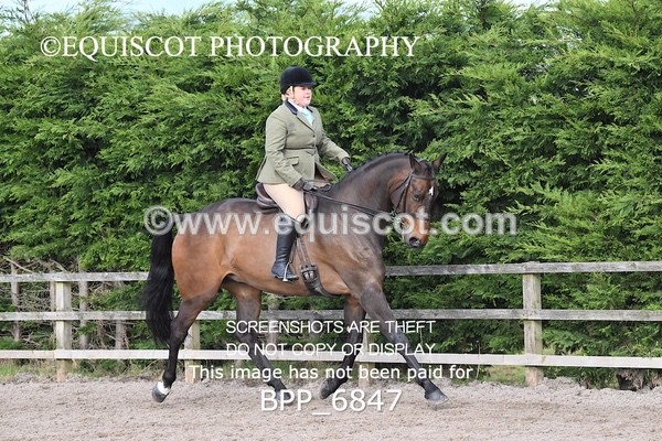 BPP_6847 - RING 1  (RIDDEN HORSES / IN HAND / VETERAN ETC)