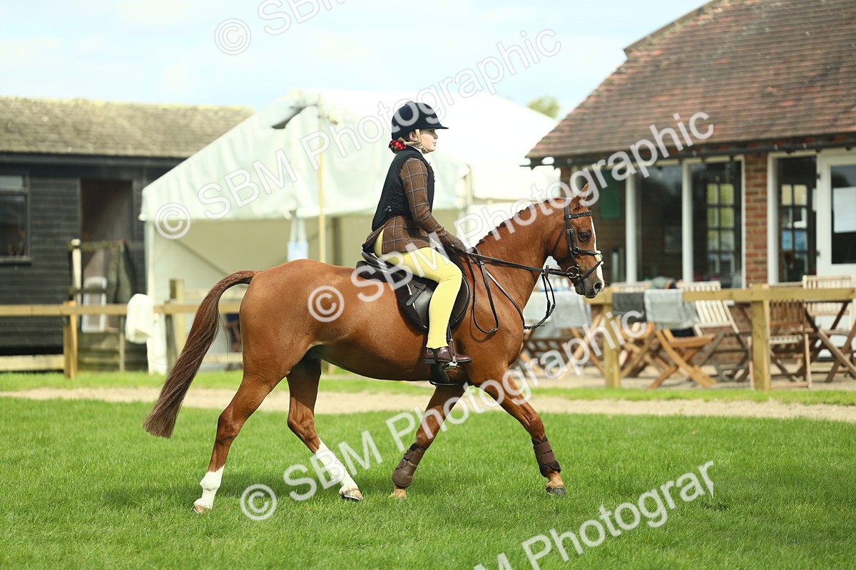SBM_44628 - S31 - Working Hunter Pony