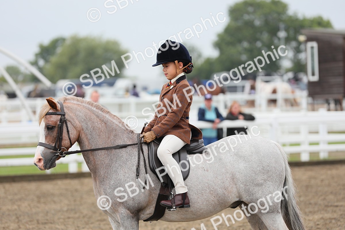 SBM_21801 - Class 806 - Young ridder 10 Yr & Under