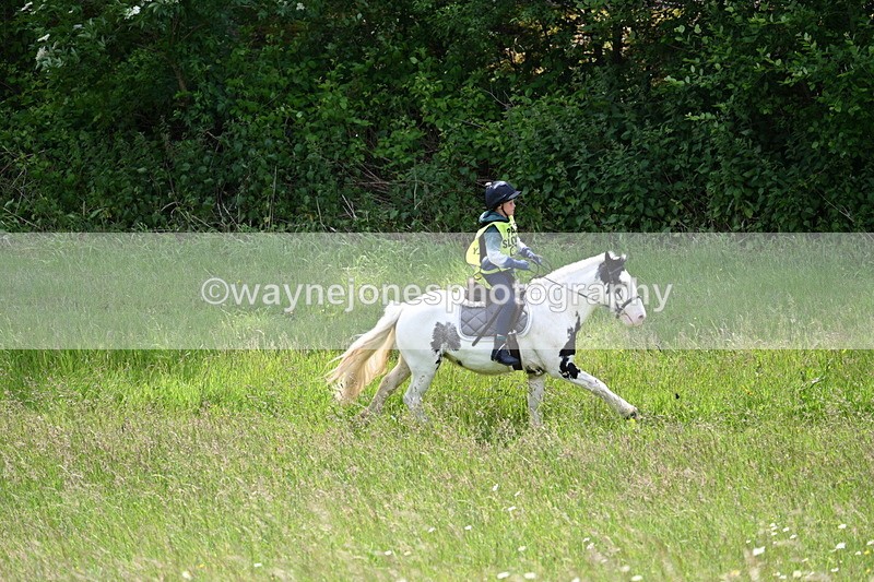 WJ7_8787 - Group 4 11am