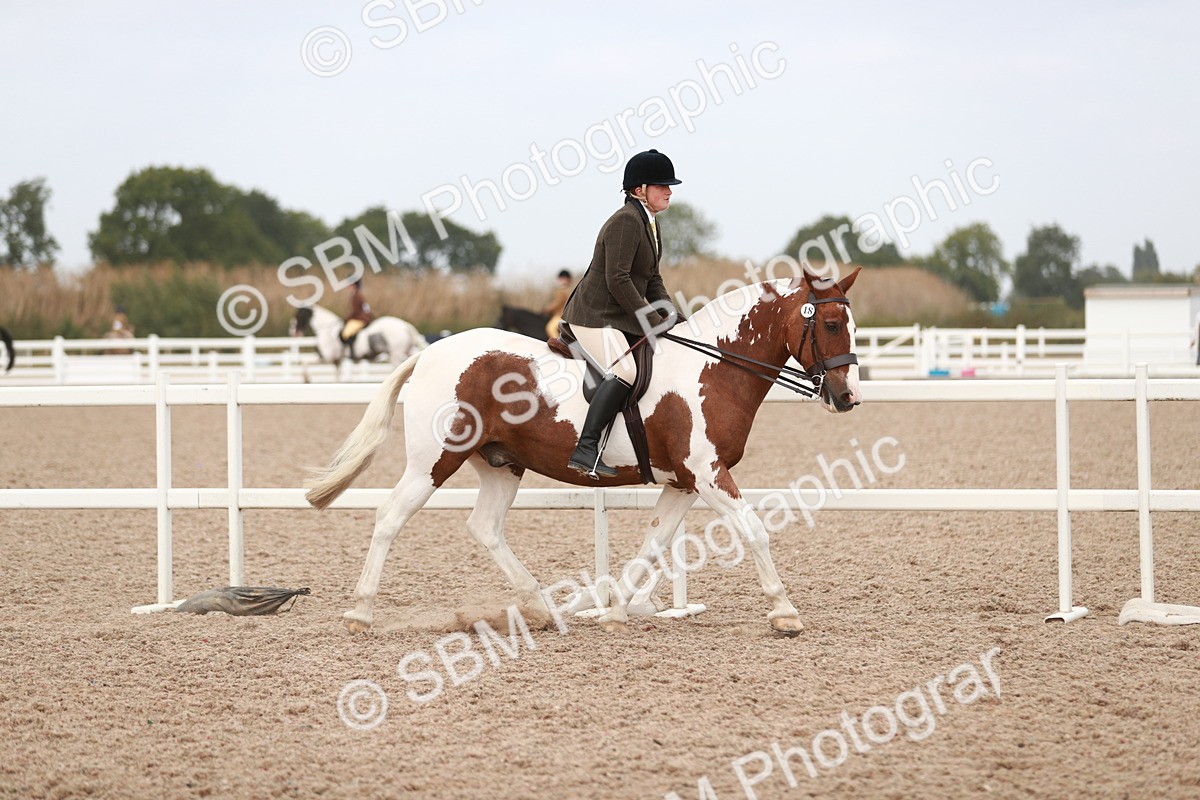 SBM_16663 - Class 214 Ridden Cob