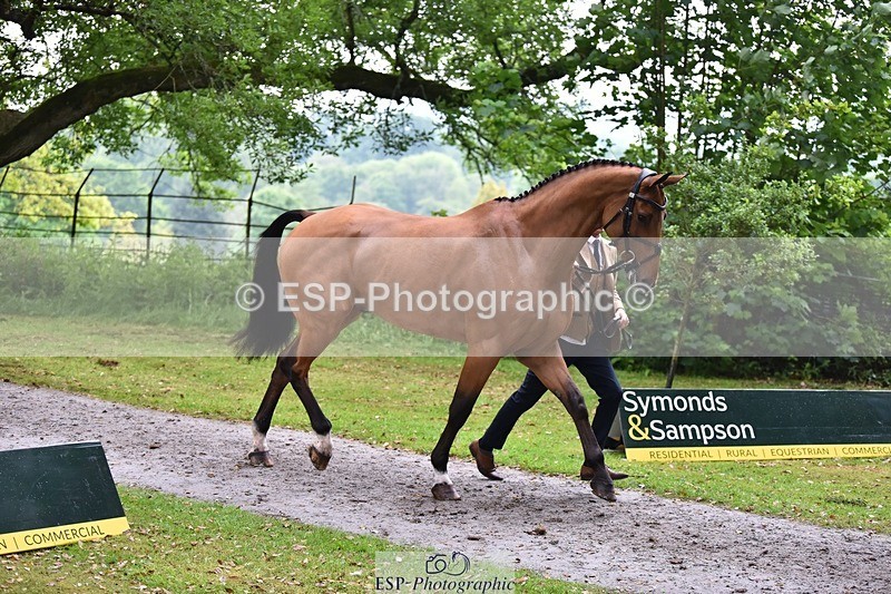 240522-165640-01271 - 282-COOLEY_CORNASUS-Tom_Jackson