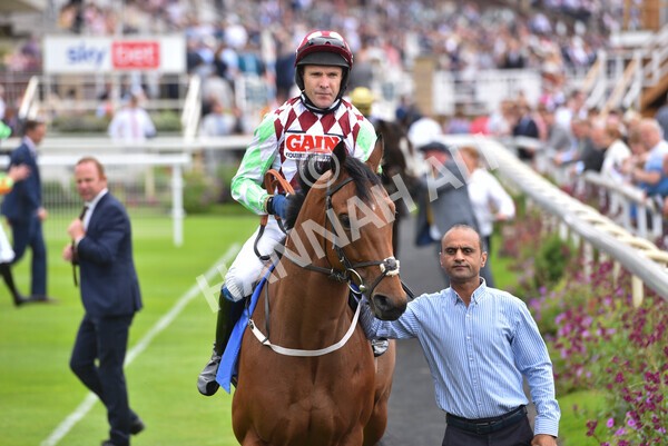 yr24072021r1-50 - Race 1 2.05pm Sky Bet Jump Jockeys Nunthorpe