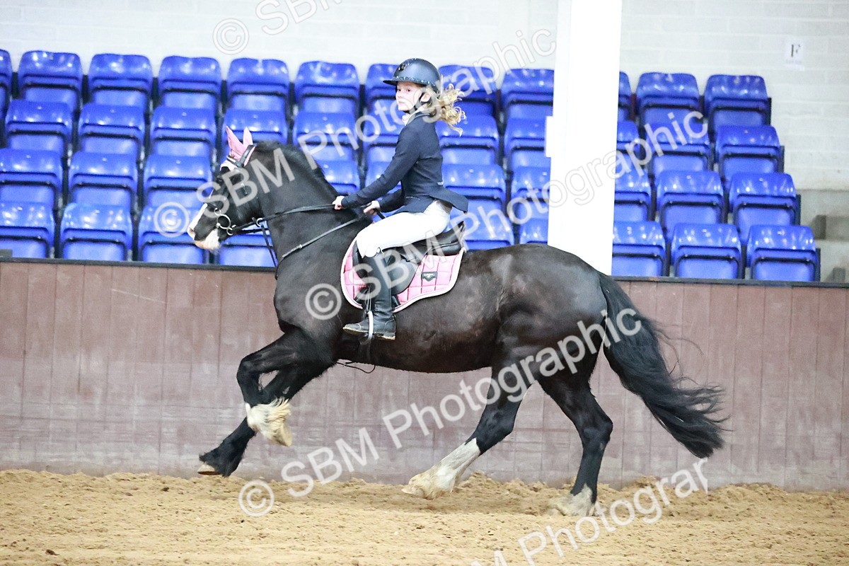 SBM_000673 - Class 3 - Pony Discovery 90cm