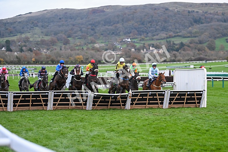 171124-Race 5-Burdett Road-4203 - Race 5