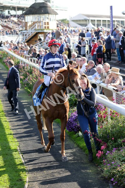 yr08102021r2-5 - Race 2 2.40pm Racing to School EBF Novice Stakes