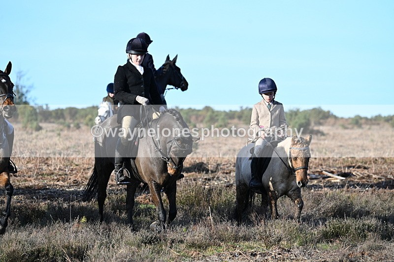 WJ7_7372 - Line 3 (no line 4 or 5)