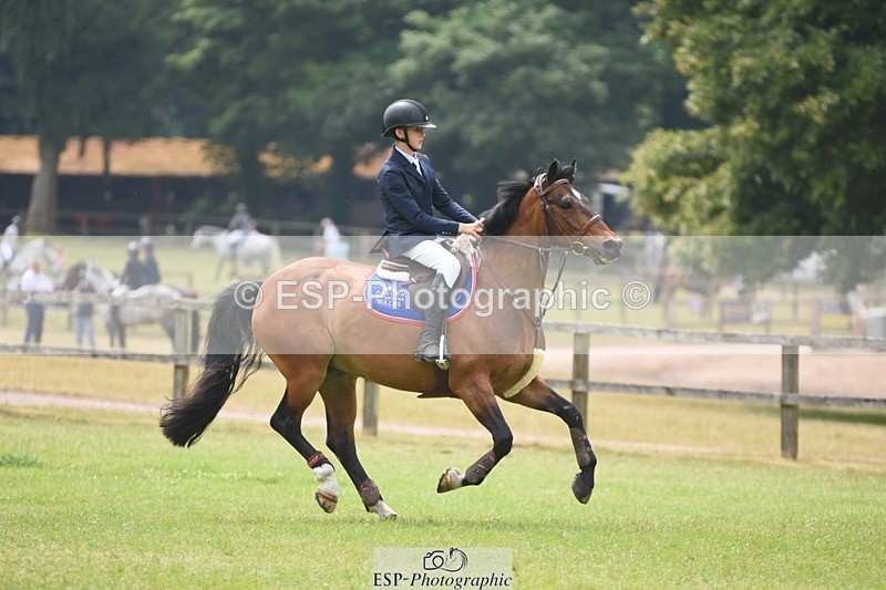 230617-142718-04246 - Cls 17 Newcomers & 1m Open