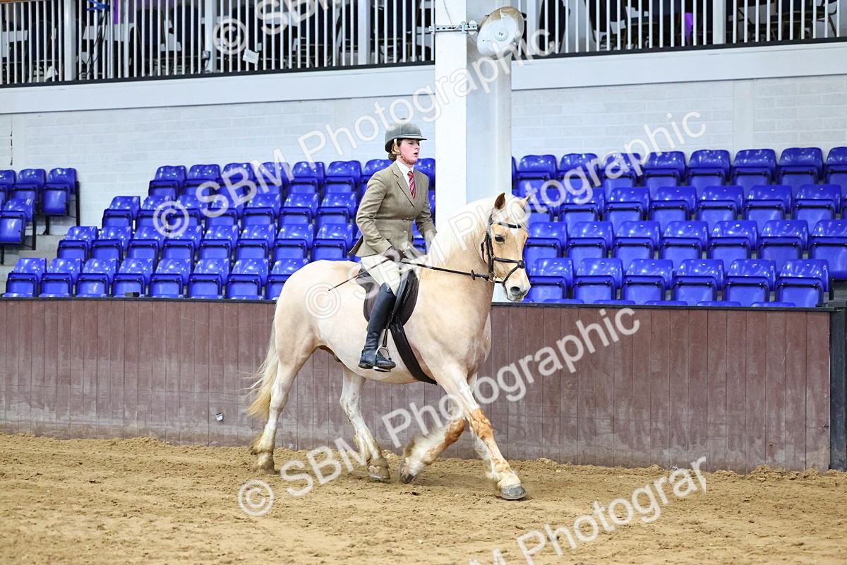 SBM_003676 - Class 37 - 80cm Training Stakes