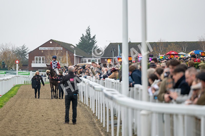 151125-Race 2-Hung Jury-0753 - Race 2
