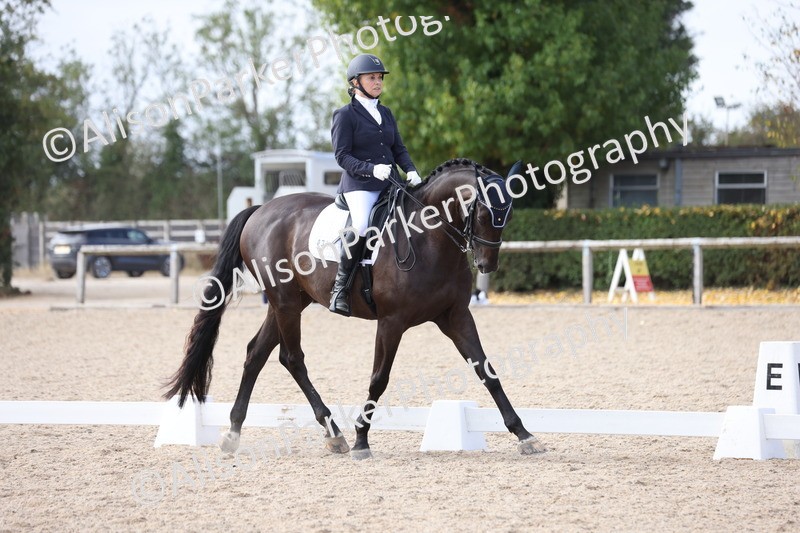 20250820-1578 - Class 21 - Advanced Medium 5