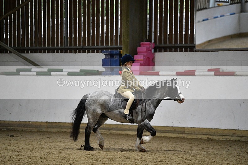 WJ5_8300 - Class 14 Novice Ridden/Rider