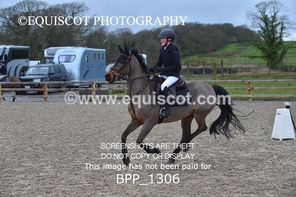 BPP_1306 - CLASS 5 Pony BritiNovice / 0.80m Open