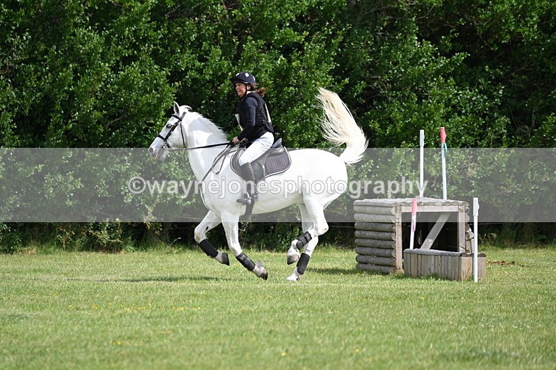 WJ6_2637 - Class 2 40cm