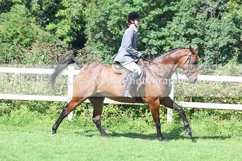 3E7A8382 - Class 4: Novice working Hunter