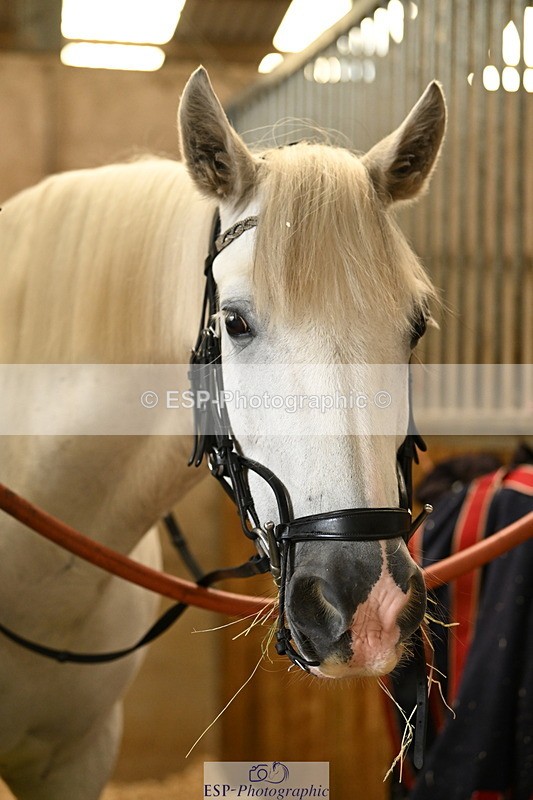 240809A-085917-00042 - Stable Shots