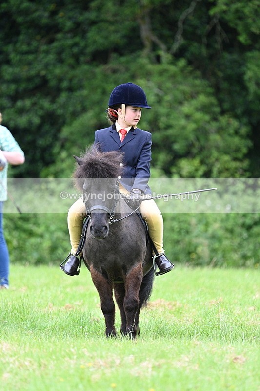 WJ7_4214 - Class 14A Handsome Gelding