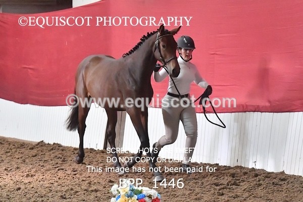 BPP_1446 - MORNING 9AM - 12PM