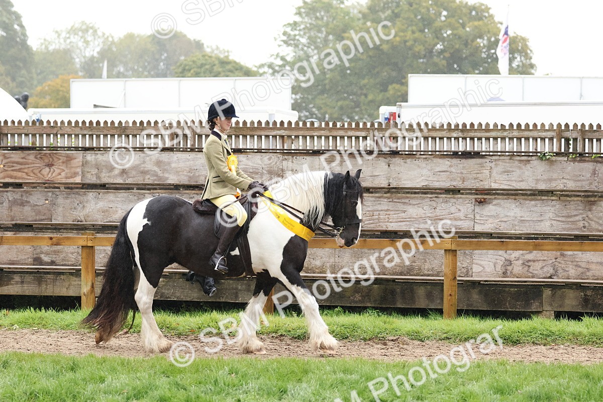 SBM_73100 - Ridden Pony Supreme Championship