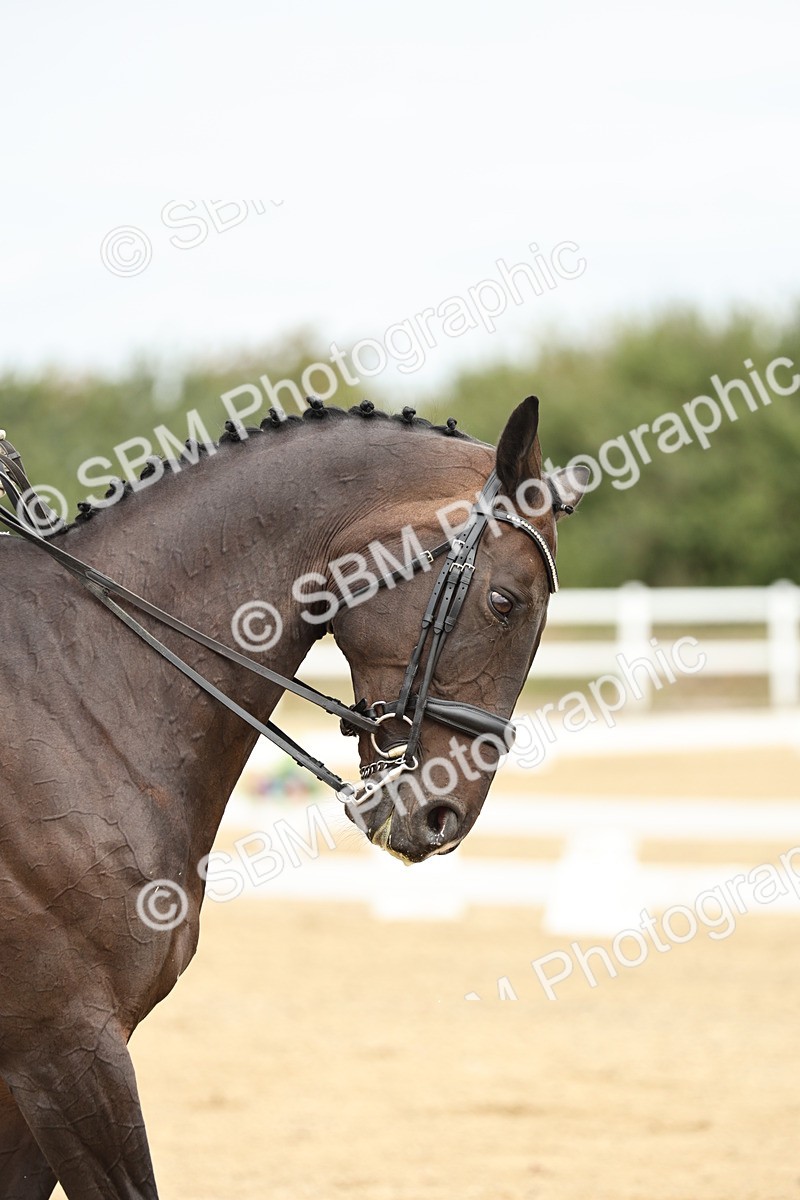 SBM_007104 - Class 25 - FEI PSG Bronze