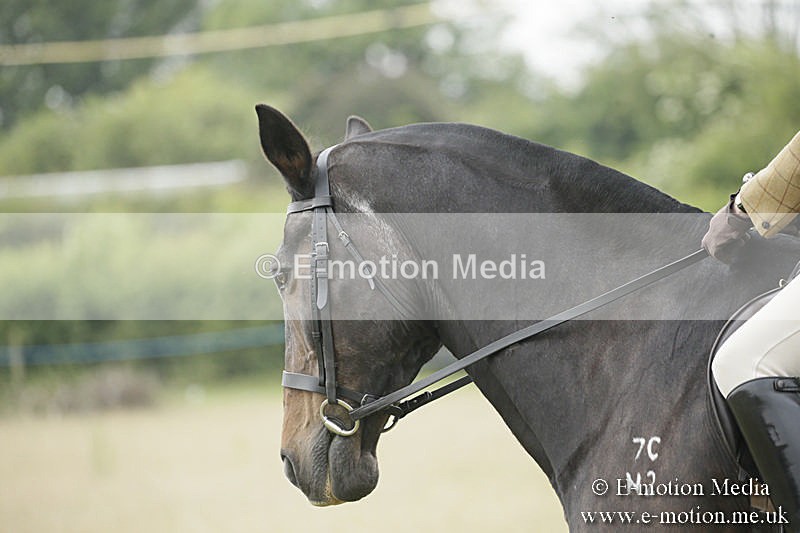 B230619-0345 - Bourne Valley Riding Club Summer Show 23/06/19