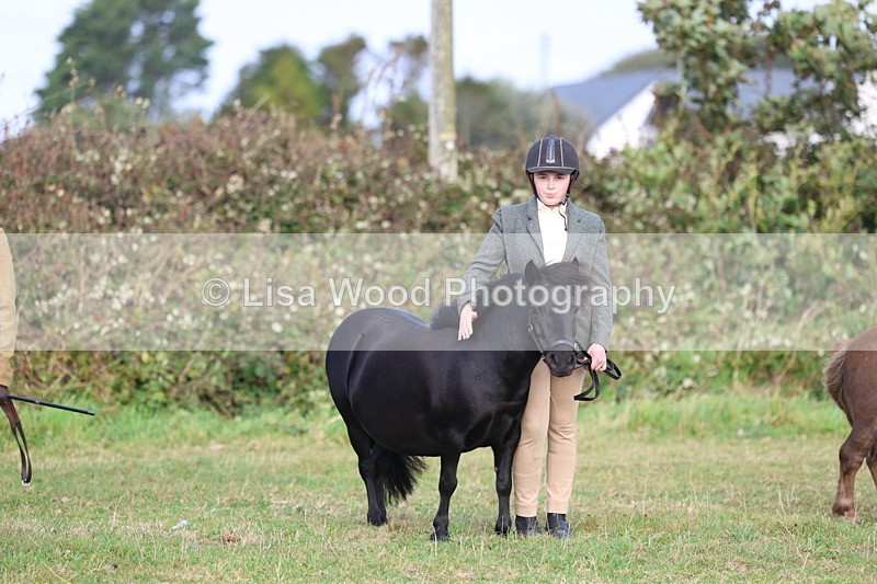 3E7A3263 - Class 12: M & M Small Breeds