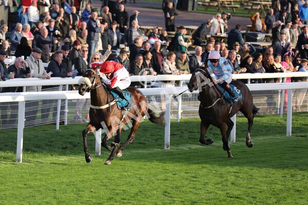 yr07102022r7-21 - Race 7 5.35pm IRE Incentive, It Pays To Buy Irish Stakes