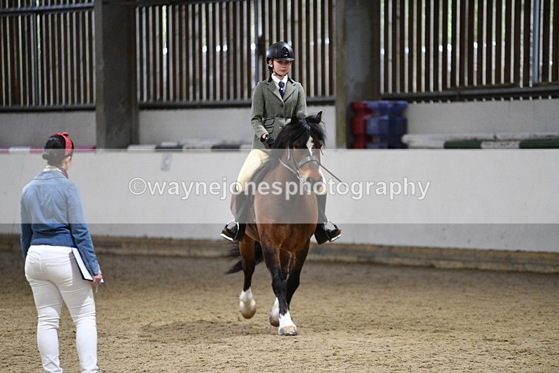 WJ5_8481 - Class 14 Novice Ridden/Rider