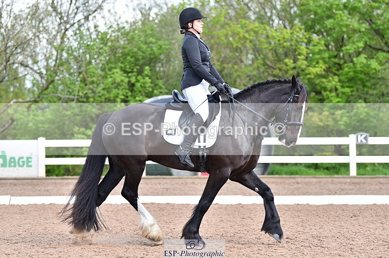 230511A-100514-00193 - BD Cls 2 Prelim 17A