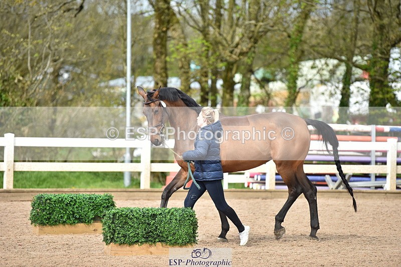 240417A-154038-00952 - 3pm to 4pm