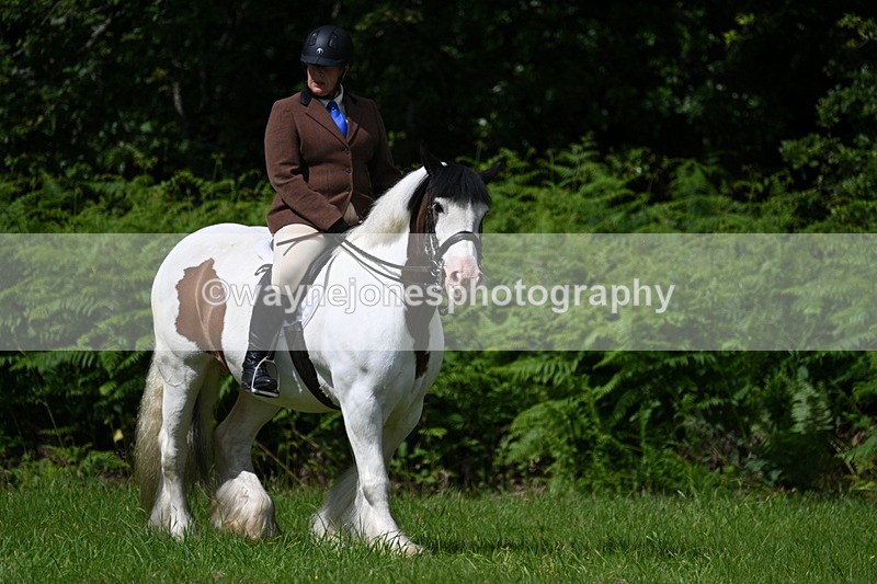 WJ7_1522 - Class 11 Condition & Turnout