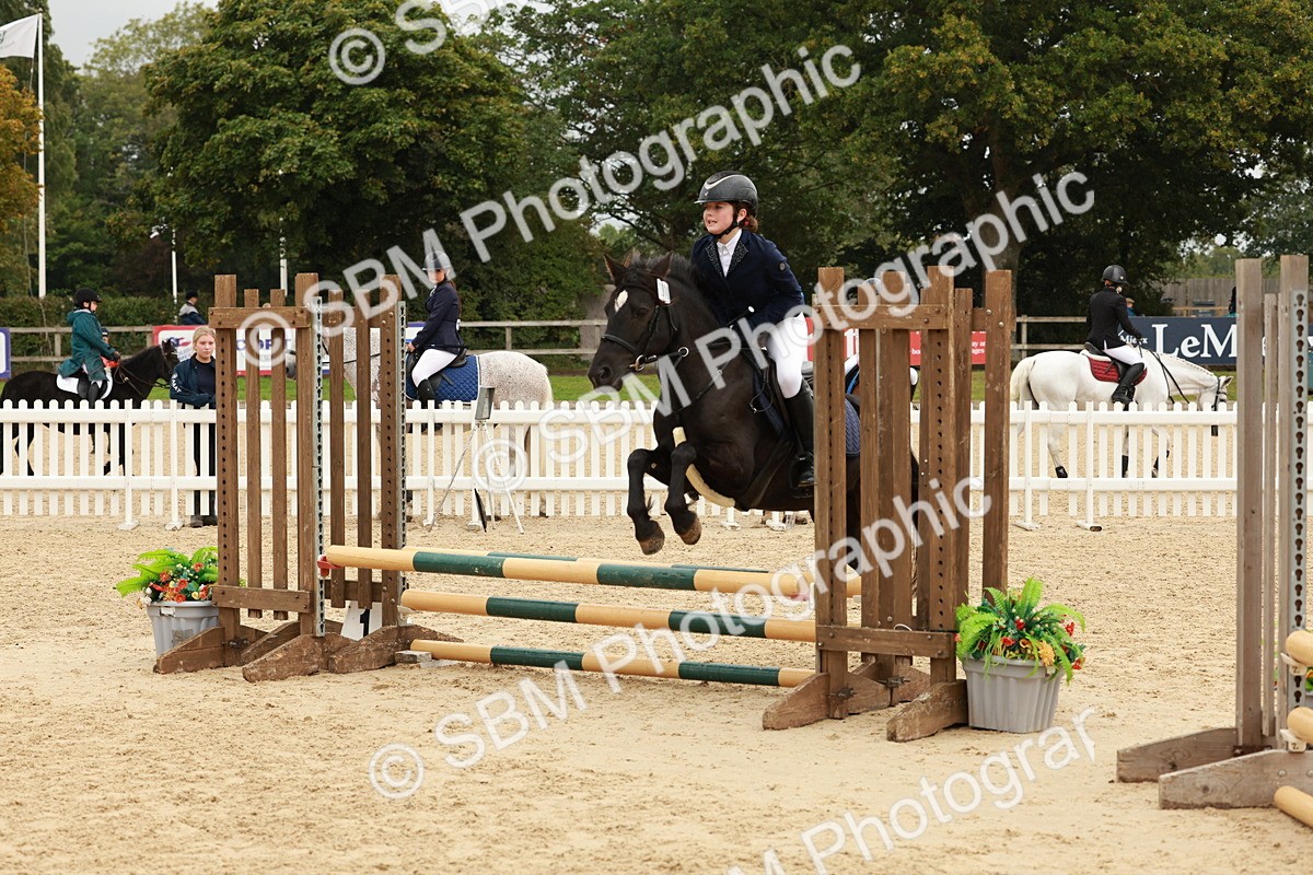 SBM_69221 - J13 - Junior Pony 60cm Championship