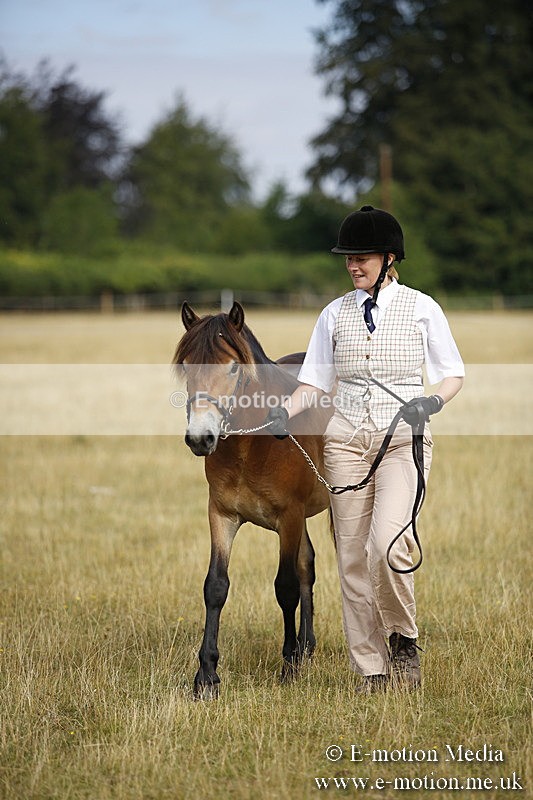 _C7A9170 - BVRC Sow 2018 Ring 2