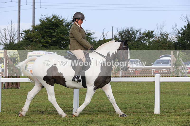 1X9A3189 - Class 28: Ridden Native/Trad Coloured Pony