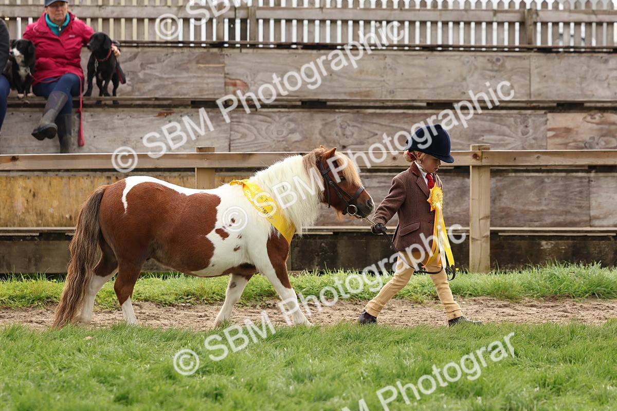 SBM_59740 - Start Supreme Championship