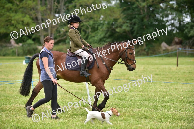 20260614-4532 - Class 19 - Cutest Pony, Rider and Dog Combination