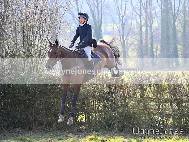 WJ6_9843 - Edited examples