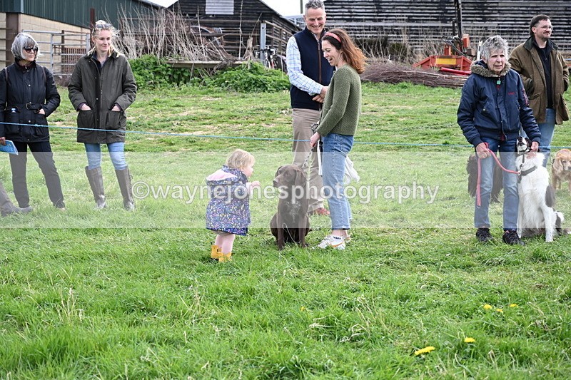 WJ6_8563 - Class 6 Best Rescue