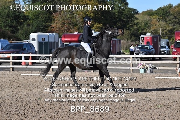 BPP_8689 - SHORT ARENA INTRO 3