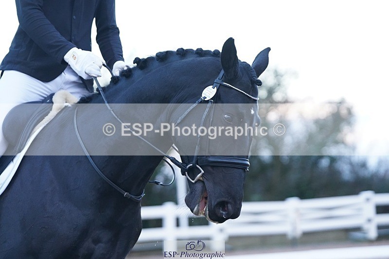 241214-093256-00065 - 115-Joe.Roome-Monarchs.Way.Tobiah