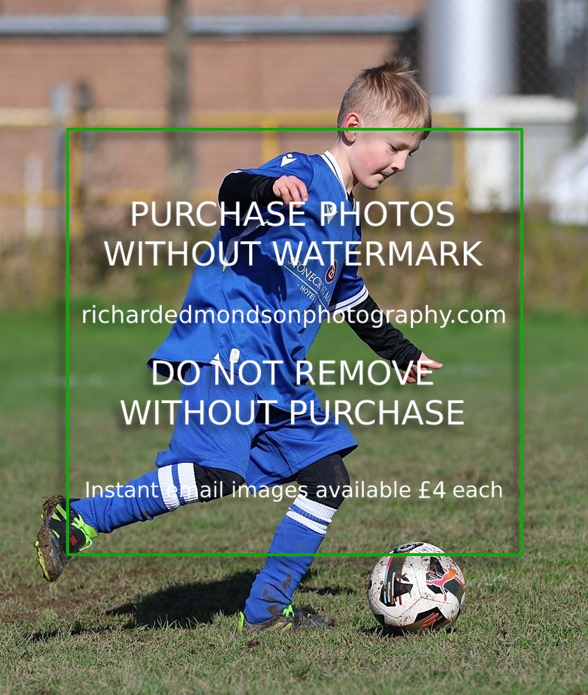 533A7755 - Ibis Under 8's (14/3/26)