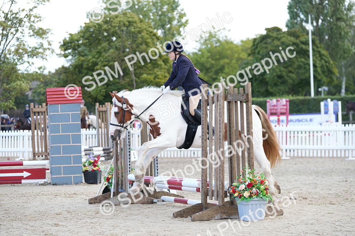 SBM_21207 - J49 - Open 50cm