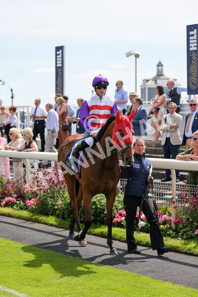 yr08072022r2-4 - Race 2 2.40pm William Hill Summer Stakes